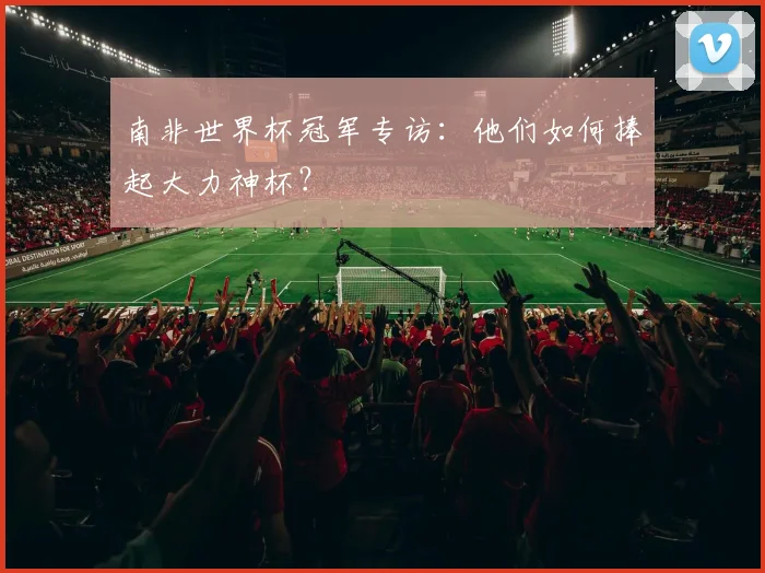 南非世界杯冠军专访:他们如何捧起大力神杯?