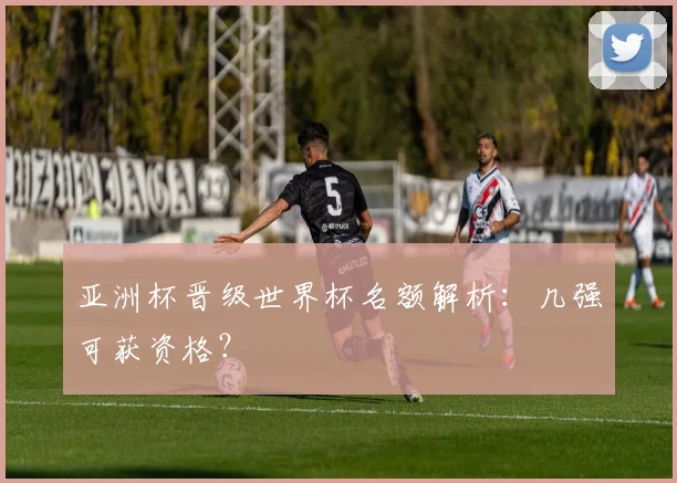 亚洲杯晋级世界杯名额解析:几强可获资格?