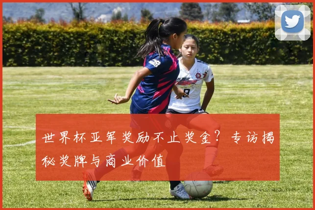 世界杯亚军奖励不止奖金?专访揭秘奖牌与商业价值